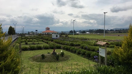 CRÓNICA: San Luis, un aeropuerto con un manejo ambiental de excelencia