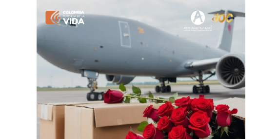 Fotografía de Avión Hércules de la fuerza aérea con cajas con flores en primer plano
